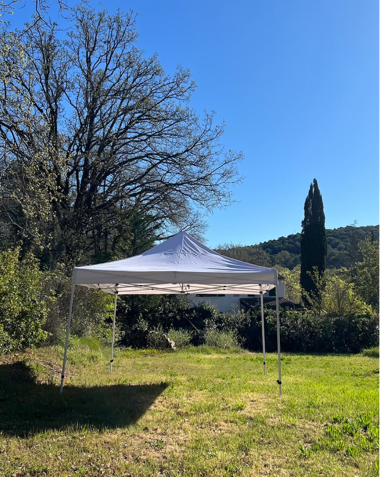 The Mosticare Terrazza canopy frame without its mesh walls, set up on a lawn.